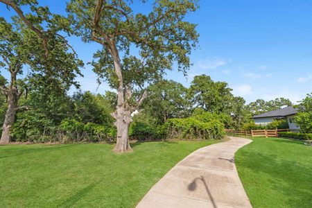 New construction Single-Family house 10 Hawthorn Cove, Fulshear, TX 77441 - photo 16 16