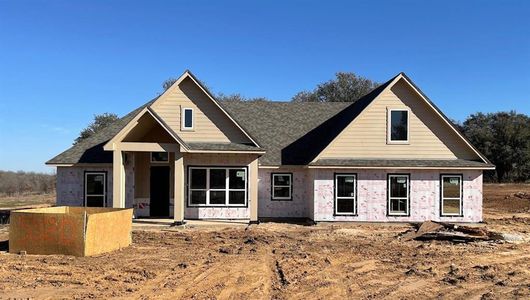 New construction Single-Family house 5020 Cottontail Court, Springtown, TX 76082 - photo 3 3
