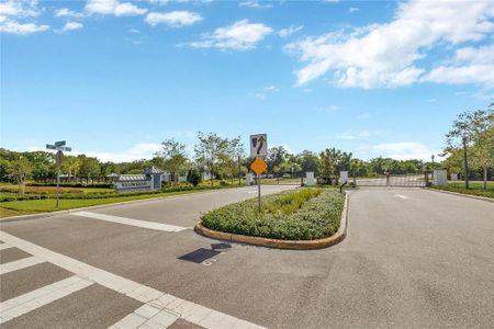 New construction Townhouse house 23366 Papyrus Way, Lutz, FL 33549 - photo 25 25