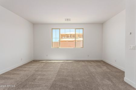 New construction Single-Family house 7815 E Quartet Avenue, Mesa, AZ 85212 Turquoise- photo 19 19