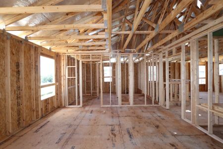 New construction Single-Family house 31852 Sapna Chime Drive, Wesley Chapel, FL 33545 Renau- photo 14 14