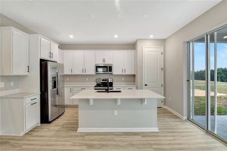 New construction Single-Family house 909 Wekiva Ridge Drive, Mount Dora, FL 32757 Tourmaline- photo 6 6