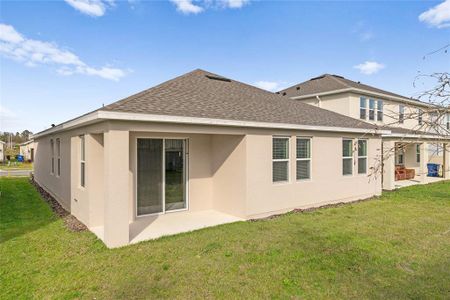 New construction Single-Family house 851 Vineyard Ridge Road, Minneola, FL 34715 - photo 46 46