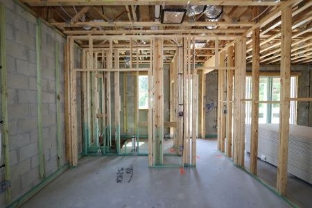New construction Single-Family house 7754 Hemlock Seed Drive, Wesley Chapel, FL 33545 Sonoma II- photo 20 20