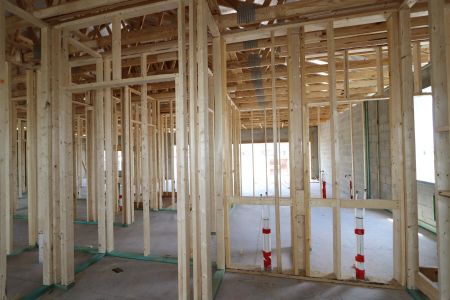 New construction Single-Family house 9465 Crescent Ray Drive, Wesley Chapel, FL 33545 Barcello- photo 13 13