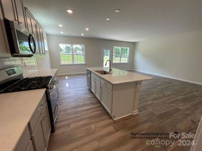 New construction Single-Family house 157 Pampas Place, Unit BF5 #228, Statesville, NC 28625 - photo 2 2