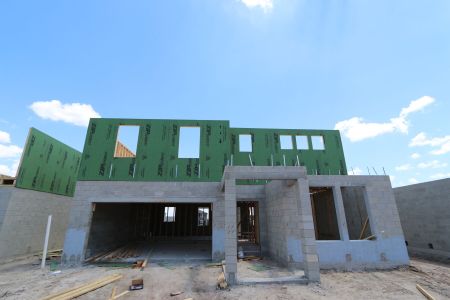 New construction Single-Family house 31852 Sapna Chime Drive, Wesley Chapel, FL 33545 Renau- photo 29 29