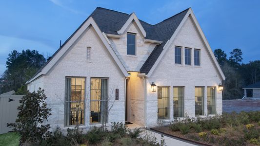 New construction Single-Family house 103 Harlequin Duck Court, Magnolia, TX 77354 - photo 0