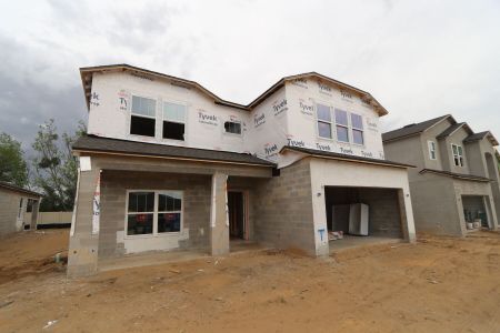 New construction Single-Family house 12114 Hilltop Farms Drive, Dade City, FL 33525 Alenza- photo 73 73