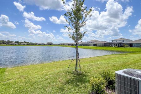 New construction Single-Family house 5206 123Rd Avenue E, Parrish, FL 34219 - photo 46 46