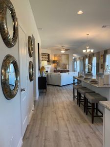 Anderson Lake by Smith Douglas Homes in Houston - photo 20 20