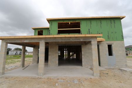 New construction Single-Family house 31810 Sapna Chime Drive, Wesley Chapel, FL 33545 Mira Lago- photo 19 19