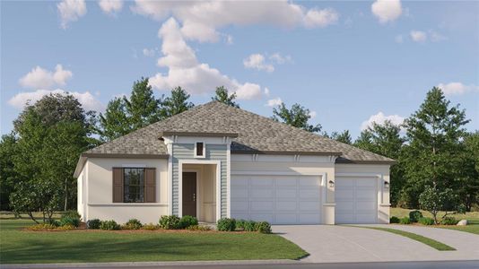 New construction Single-Family house 12421 Bergstrom Bay Drive, Riverview, FL 33579 - photo 0 0