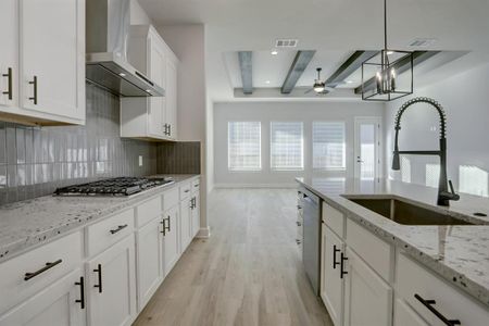 New construction Single-Family house 17721 Clairess Ln, Manor, TX 78653 - photo