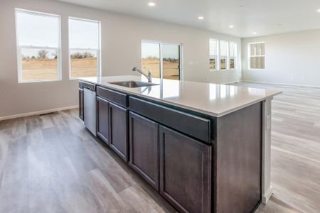 New construction Single-Family house 2908 Conquest Street, Fort Collins, CO 80524 - photo 14 14