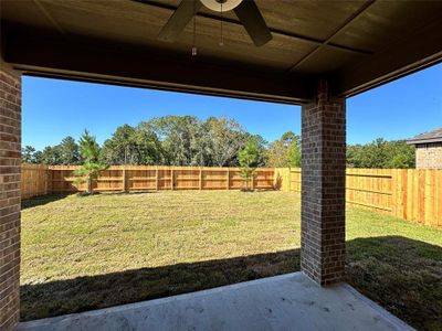 Backyard backs up to treeline/green space