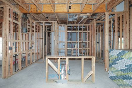 New construction Single-Family house 8423 Aloe Vera Trace, San Antonio, TX 78222 Armstrong- photo 4 4