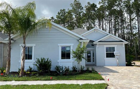 New construction Single-Family house 231 Hawthorn Avenue, Palm Coast, FL 32164 - photo 0