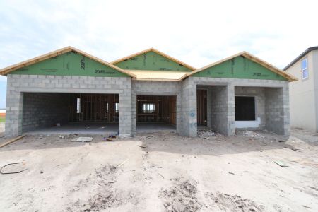 New construction Single-Family house 4778 Beachrose Way, Lakeland, FL 33811 Barcello- photo 10 10