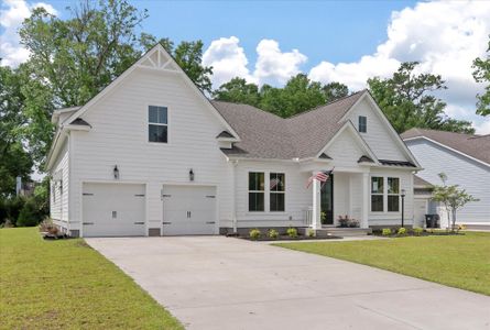 New construction Single-Family house 2044 Kings River Trail, Hollywood, SC 29449 - photo