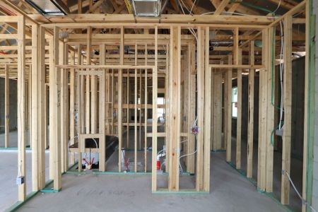 New construction Single-Family house 31843 Sapna Chime Drive, Wesley Chapel, FL 33545 Picasso- photo 28 28