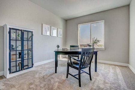 New construction Townhouse house 6248 Vernazza Way, Windsor, CO 80550 - photo 99 99