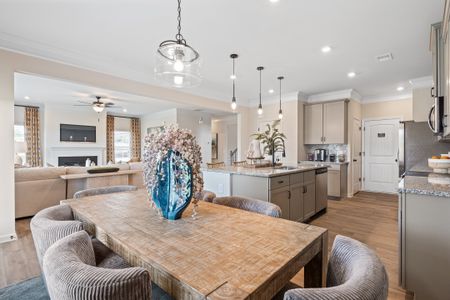 Sycamore Woods by Smith Douglas Homes in Mount Holly - photo 10 10