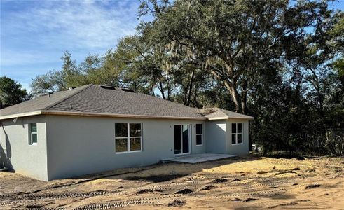 New construction Single-Family house 37331 Westview Avenue, Dade City, FL 33525 - photo