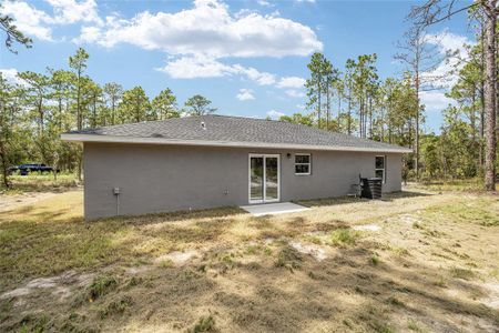 New construction Single-Family house 117 Nw Sparrow Road, Dunnellon, FL 34431 - photo 53 53
