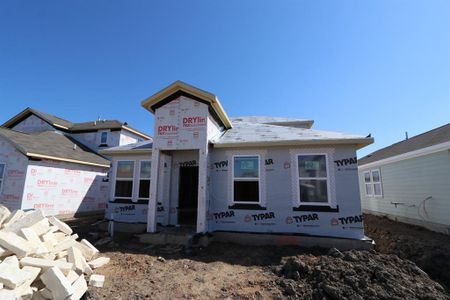 New construction Single-Family house 13913 Gilwell Dr, Del Valle, TX 78617 Walton- photo 3 3
