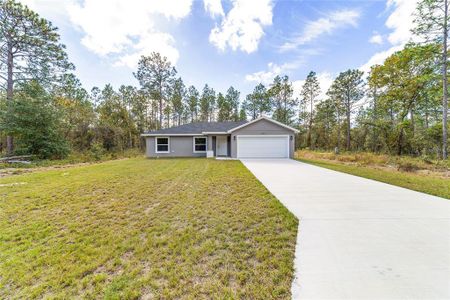 New construction Single-Family house 24254 Nw Water Oak Avenue, Dunnellon, FL 34431 - photo 7 7