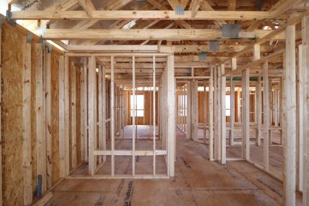 New construction Single-Family house 31852 Sapna Chime Drive, Wesley Chapel, FL 33545 Renau- photo 16 16