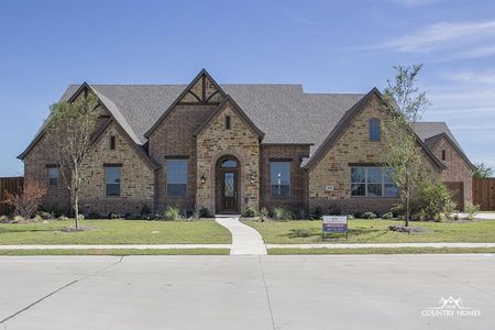 New construction Single-Family house Windsor, 1481 Copper Point Drive, Prosper, TX 75078 - photo