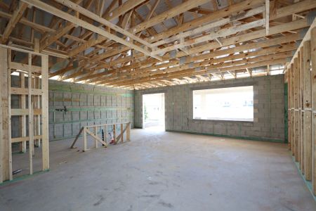 New construction Single-Family house 32568 Sapna Chime Drive, Wesley Chapel, FL 33545 Barcello- photo 20 20