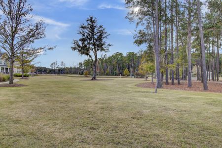 New construction Single-Family house 1025 Fitzgerald Court, Summerville, SC 29485 - photo 90 90