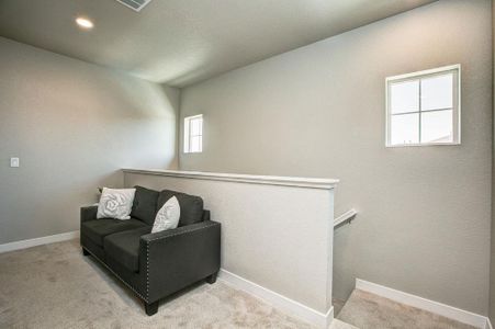 New construction Multi-Family house 6846 Stonebrook Drive, Timnath, CO 80547 Timberline- photo 33 33