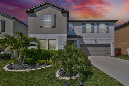 New construction Single-Family house 12959 Wildflower Meadow Drive, Riverview, FL 33579 - photo 0