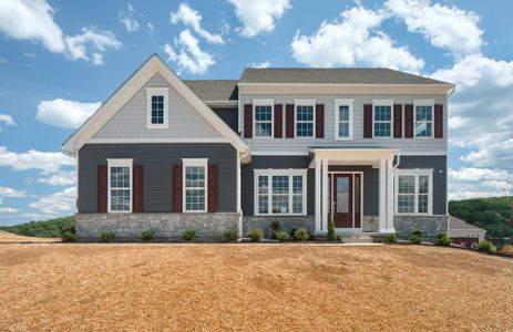New construction Single-Family house Wilbanks Drive, Charlotte, NC 28278 - photo 153 153