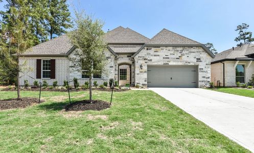 New construction Single-Family house 12949 Whitewater Way, Conroe, TX 77302 Plan 6020 Exterior C- photo 28 28