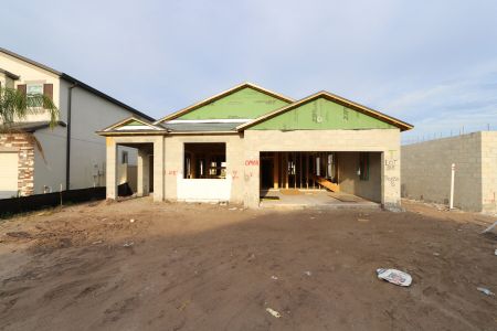 New construction Single-Family house 2952 Marine Grass Drive, Wimauma, FL 33598 Picasso- photo 12 12