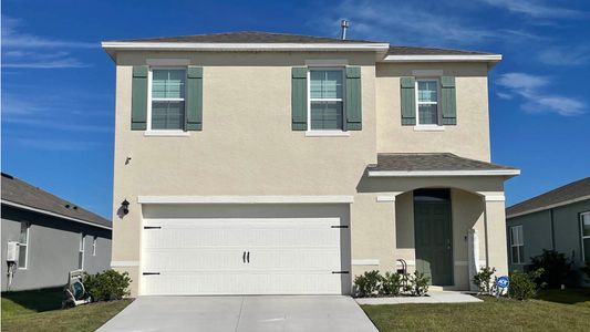 New construction Single-Family house Robie, 904 Bear Hammock Drive, Umatilla, FL 32784 - photo
