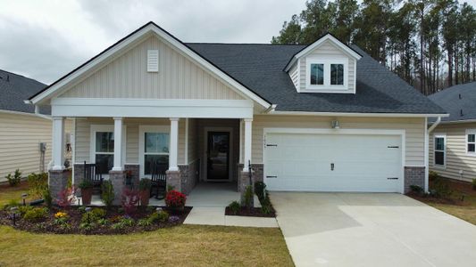 New construction Single-Family house 1005 Locals Street, Summerville, SC 29485 - photo 3 3