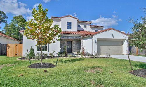 New construction Single-Family house 1455 Torrijos Court, Shenandoah, TX 77384 - photo 0