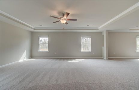 New construction Single-Family house 123 Crabswood Drive, Mcdonough, GA 30253 Everest III- photo 24 24