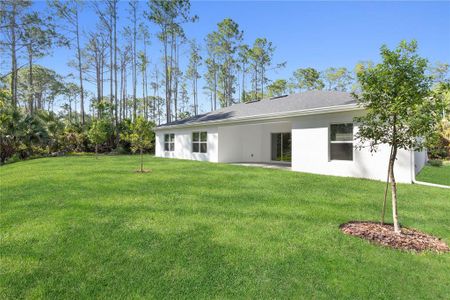 New construction Single-Family house 58 Pittman Drive, Palm Coast, FL 32164 - photo 30 30