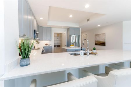 New construction Condo/Apt house 125 Island Way, Unit 204, Clearwater, FL 33767 - photo 11 11