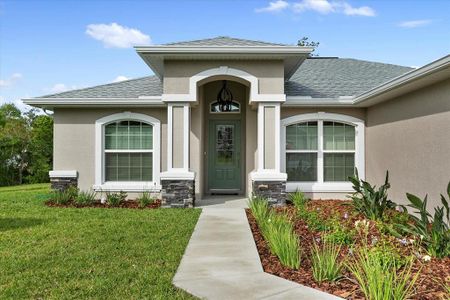 New construction Single-Family house 5409 Idleweise Court, Spring Hill, FL 34606 - photo 10 10