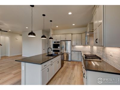 New construction Single-Family house 8420 Cromwell Circle, Windsor, CO 80528 Hillsdale - photo 4 4