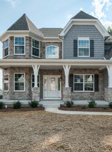 New construction Single-Family house Wilbanks Drive, Charlotte, NC 28278 - photo 333 333