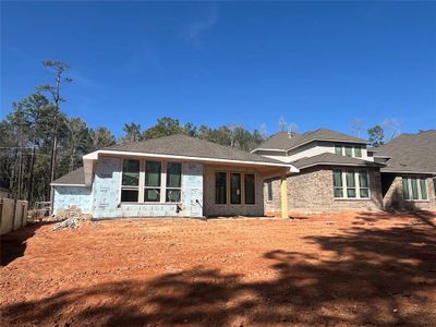 New construction Single-Family house 116 Pineview Cove Court, Montgomery, TX 77316 Bluebird- photo 8 8